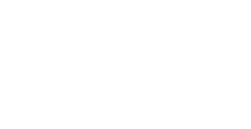 WPN Logo